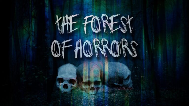 You Wont Believe What Happened In This Forest! (BQ)